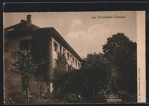 AK Cornaux, Les Hirondelles