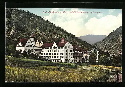 AK Bad Blankenburg /Th., Wald-Sanatorium Schwarzeck mit Umgebung