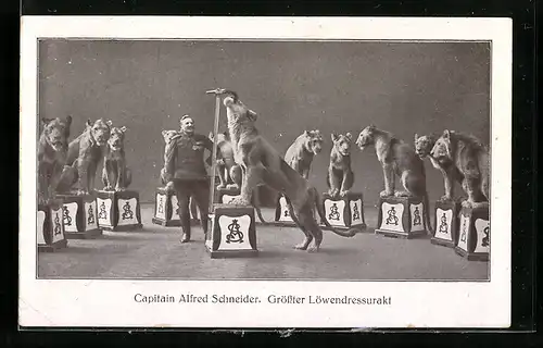 AK Capitain Alfred Schneider, Grösster Löwendressurakt, Zirkus