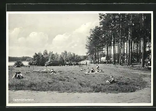 AK Dahlen, Familienbad Dammmühlenteich