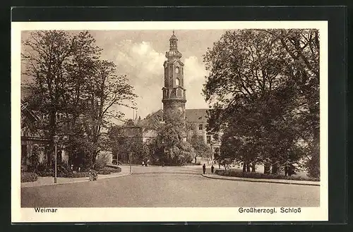 AK Weimar, Strasse am Grossherzögl. Schloss