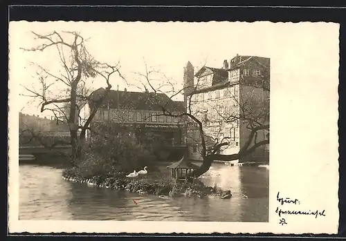 AK Erfurt, Schwaneninsel, Im Hintergrund Modegeschäft