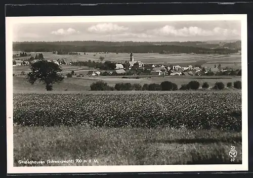 AK Grafenhausen /Schwarzwald, Ortsansicht mit Kirche