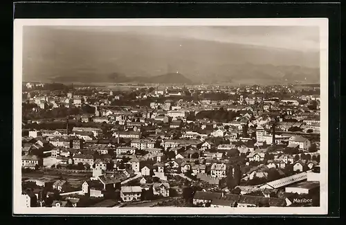 AK Maribor, Panorama