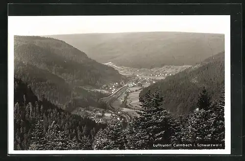 AK Calmbach i. Schwarzwald, Panorama