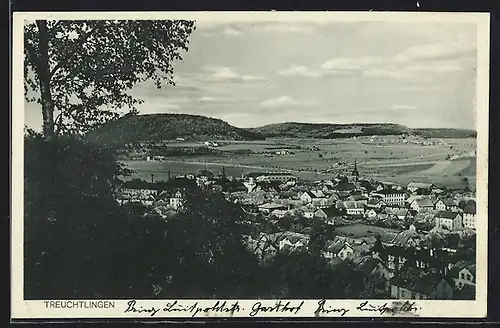 AK Treuchtlingen, Gesamtansicht aus der Vogelschau