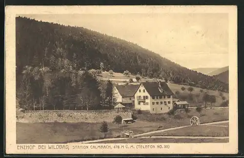 AK Wildbad, Blick zum Enzhof