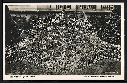 AK Bad Godesberg am Rhein, Die Blumenuhr, Rhein-Allee 25