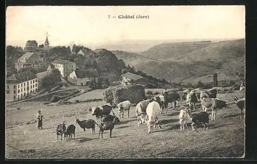 AK Chatel, Kuhweide mit Arbeitern