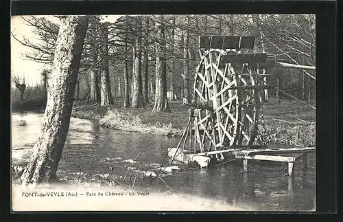 AK Pont-de-Veyle, Parc du Chateau, la Veyle