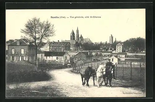 AK Senlis, Vue gènèrale, cotè St-Etienne