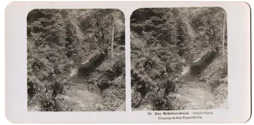 Stereo-Fotografie Neue Photographische Gesellschaft A.G., Berlin, Ansicht Allerheiligen, Eingang zu den Wasserfällen