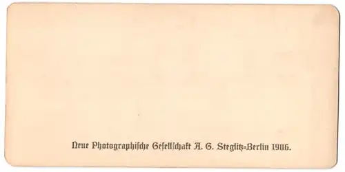 Stereo-Fotografie Neue Photographische Gesellschaft A.G., Berlin, Ansicht Bern, Blick vom Schänzli aus