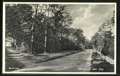 AK Oostvoorne aan Zee, Duinweg