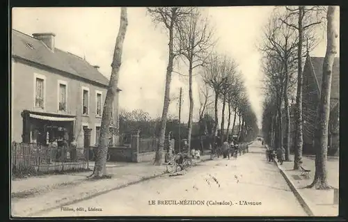 AK Le Breuil-Mézidon, L`Avenue, Blick in die Strasse