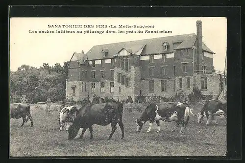 AK Lamotte-Beuvron, Sanatorium des Pins