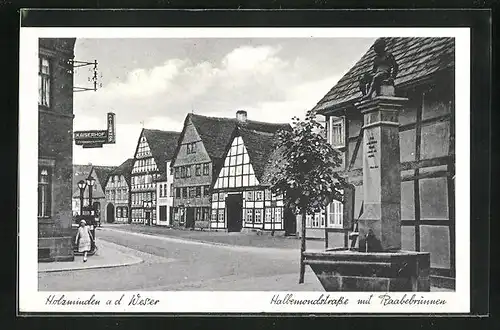 AK Holzminden, Halbemondstrasse mit Raabebrunnen