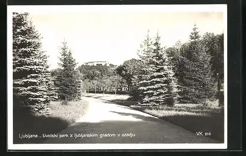 AK Ljubljana / Laibach, Tivolski park z ljubljanskim gradom v ozadju