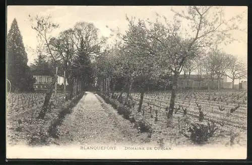 AK Blanquefort, Domaine de Curgan