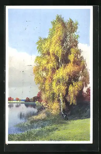 Künstler-AK Photochromie Nr. 5154: Uferpartie mit Herbstbäumen