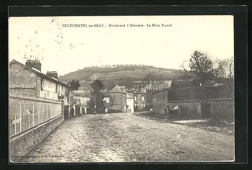 AK Neufchatel-en-Bray, Boulevard l`Alouette - Le Mont Ricard