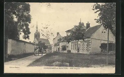 AK Donnemarie-en-Montois, Rue Salgues, Strassenpartie mit Kirchblick