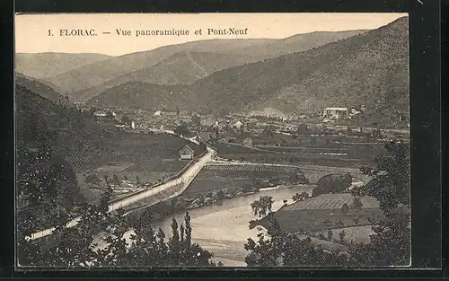 AK Florac, Vue panoramique et Pont-Neuf