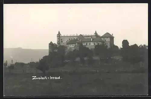 AK Zvolen, Hrad