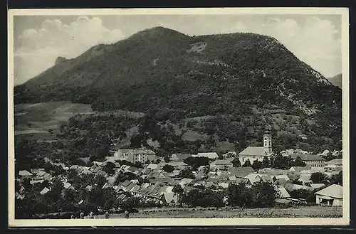 AK Tisovec s Hradovou, Panorama mit Kirche