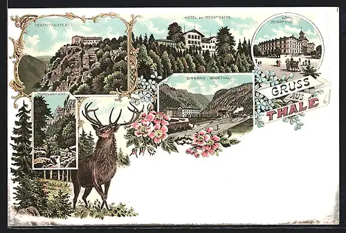 Lithographie Thale, Hexentanz-Platz, Hotel zur Rosstrappe, Hotel Zehnpfund & Teufelsbrücke