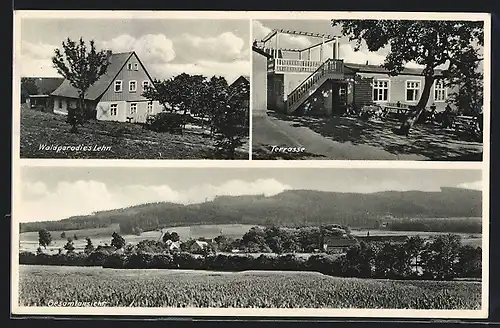 AK Lehn, Gasthaus Waldparadies, Terrasse, Ortsansicht