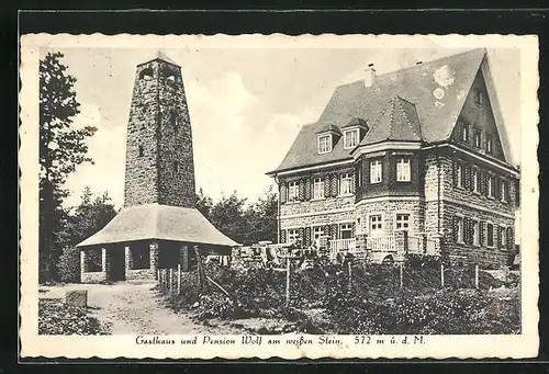 AK Heidelberg, Gasthaus & Pension Wolf am weissen Stein