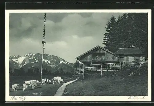 AK Bad Tölz, Gasthaus Waldherralm mit Benediktenwand