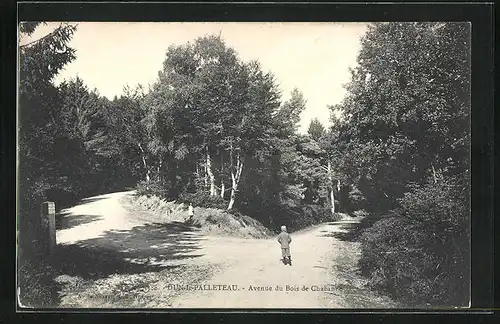 AK Dun-le-Palleteau, Avenue du Bois de Chabanne