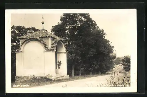 Foto-AK Zeliv, Strassenpartie mit Kapelle