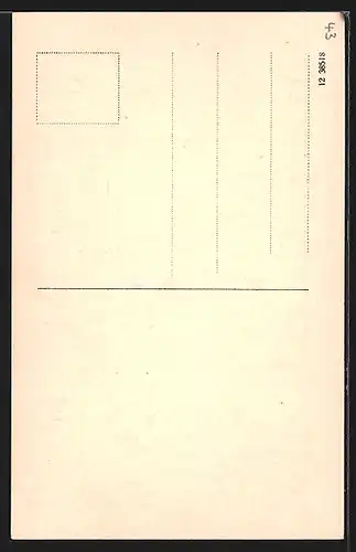 Künstler-AK sign. Johannes Luz: Bad Liebenzell, Ortsansicht mit Burg