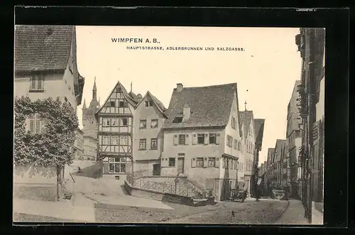 AK Wimpfen a. B., Blick auf die Hauptstrasse, Adlerbrunnen und Salzgasse