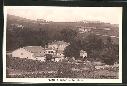 AK Fleurie, Les Moriers