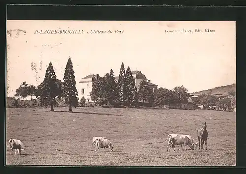 AK Saint-Lager-Brouilly, Chateau du Pavé