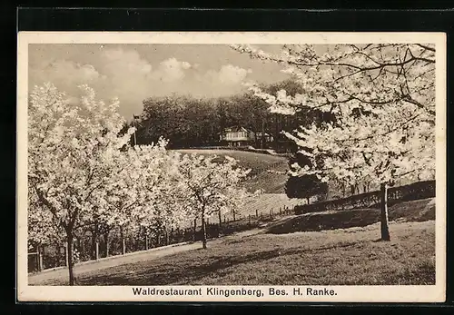 AK Neuhof b. Hildesheim, Waldrestaurant Klingenberg mit Kirschblüten