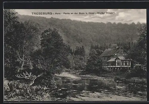 AK Treseburg i. Harz, Hotel Weisser Hirsch