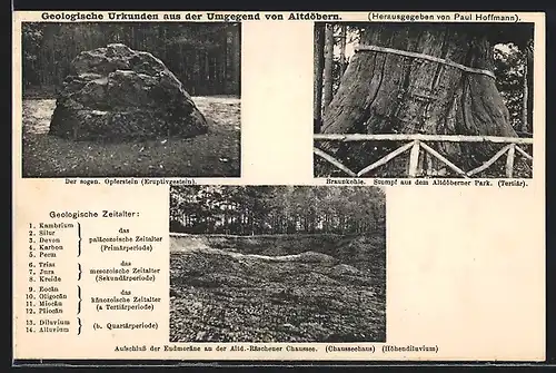 AK Altdöbern, Geologische Urkunden, Braunkohle-Stumpf, Opferstein, Aufschluss der Endmöräne