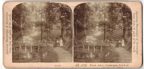 Stereo-Fotografie Ansicht New York, Rustic Arbor, Central Park