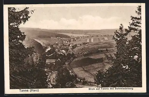 AK Tanne /Harz, Ortsansicht mit Schmiedeberg