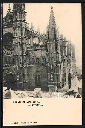 AK Palma de Mallorca, La Catedral