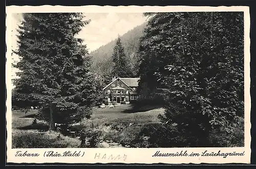 AK Tabarz /Thür. Wald, Massemühle bei Lauchagrund