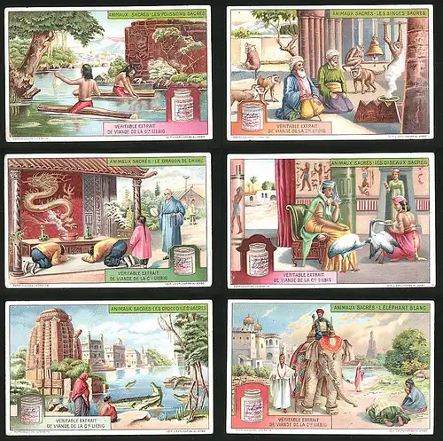 6 Sammelbilder Liebig, Serie Nr.: 1134, Animaux Sacrés, Elephant, Croco, Dragon, Affen, Schlangen, Oiseaux