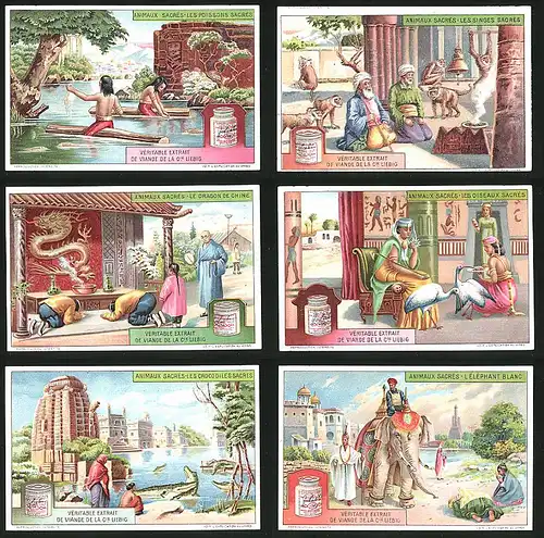 6 Sammelbilder Liebig, Serie Nr.: 1134, Animaux Sacrés, Elephant, Croco, Dragon, Affen, Schlangen, Oiseaux