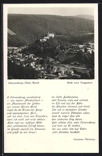 AK Schwarzburg /Thür. Wald., Ortsansicht vom Trippstein aus