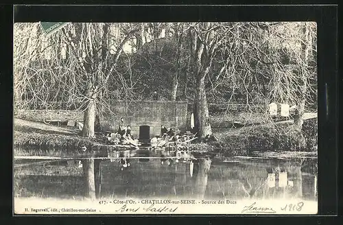 AK Chatillon-sur-Seine, Source des Ducs